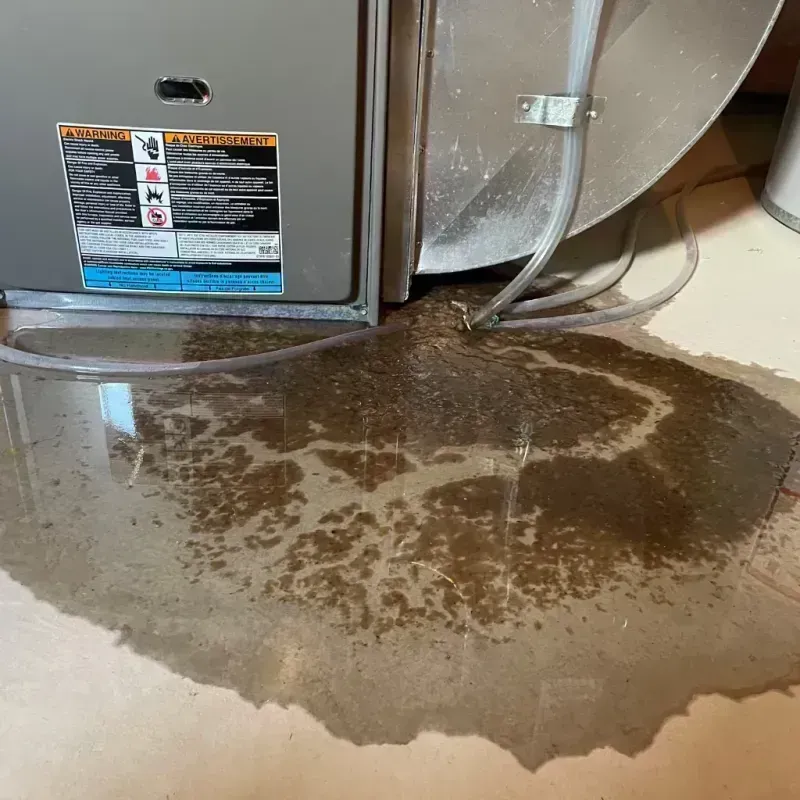 Appliance Leak Cleanup in New Market, TN